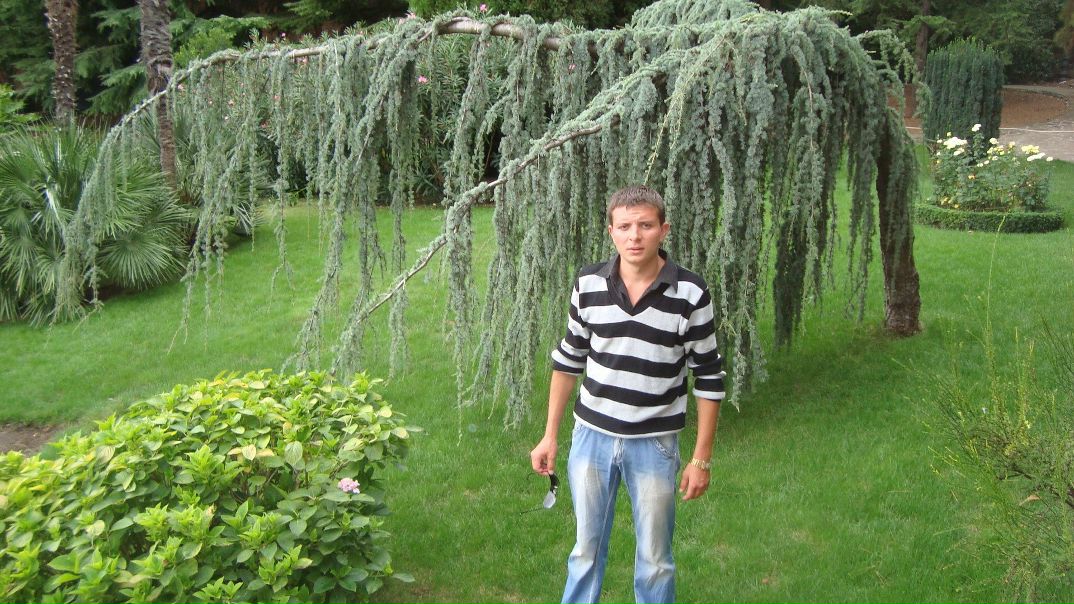 №159, Виталий Юрич, 36 лет, Днепр (Днепропетровск) №159, Виталий Юрич, 36 лет, Днепр (Днепропетровск)