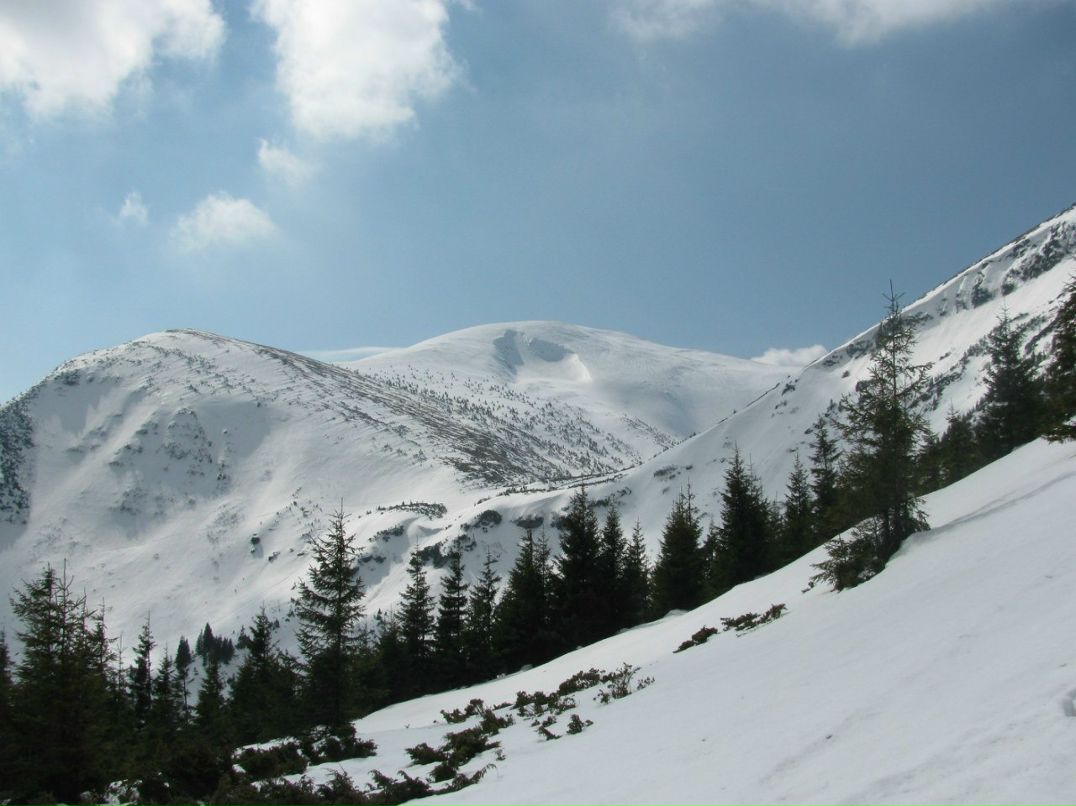 Діма Кохан | 