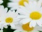 Кристина Фатьянова *Розкажи,мені на картах,де ти є* | Одесса