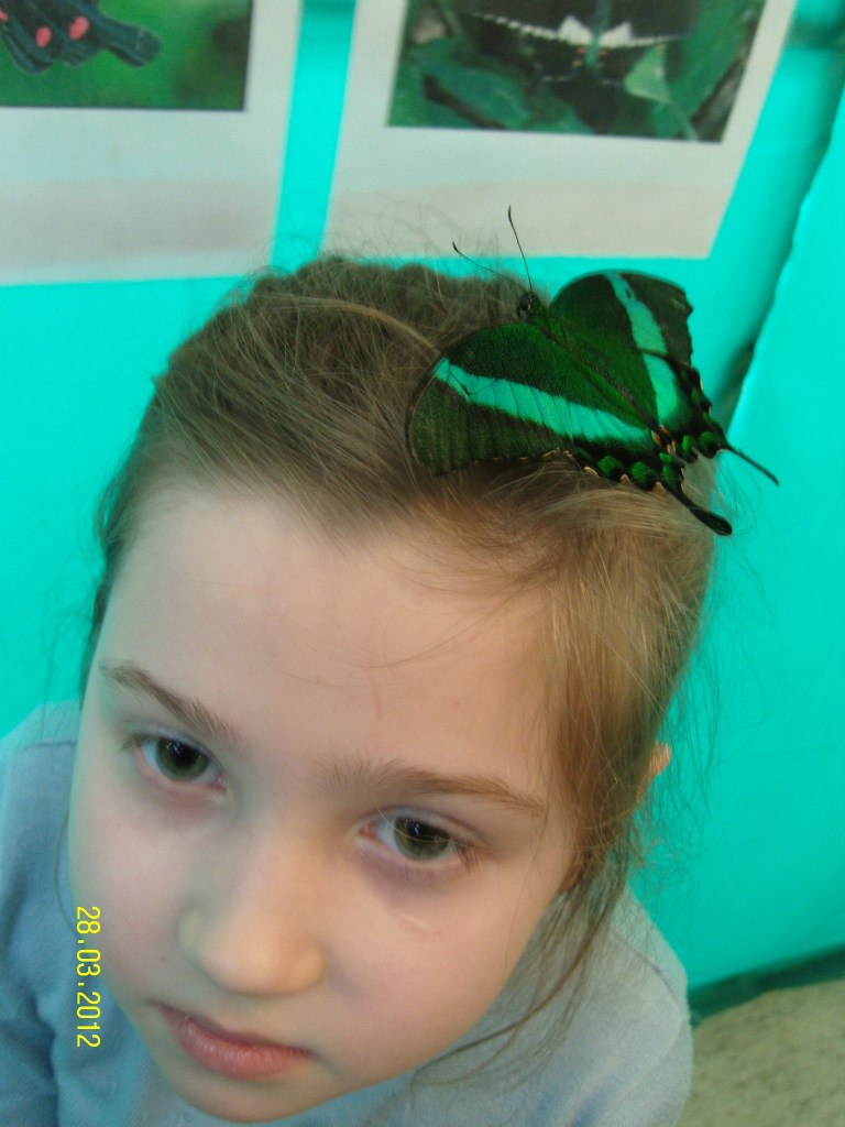 Аида Мингазова | Казань