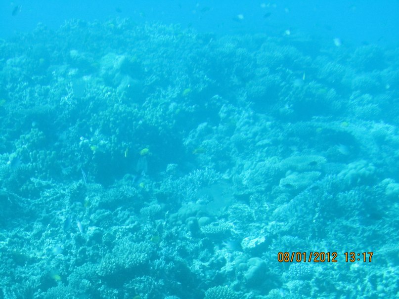 Анастасия Рыбалова | Тюмень