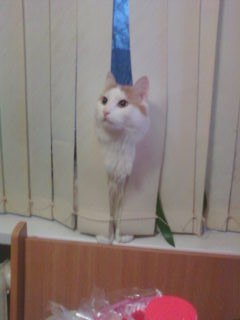 Владимир Шлёмин | Петрозаводск