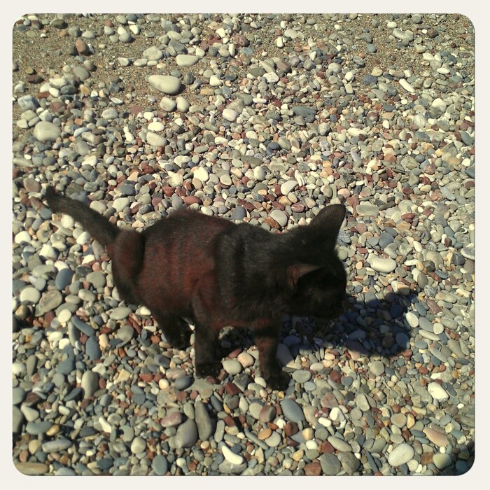 Мартин Аутере | Hong Kong