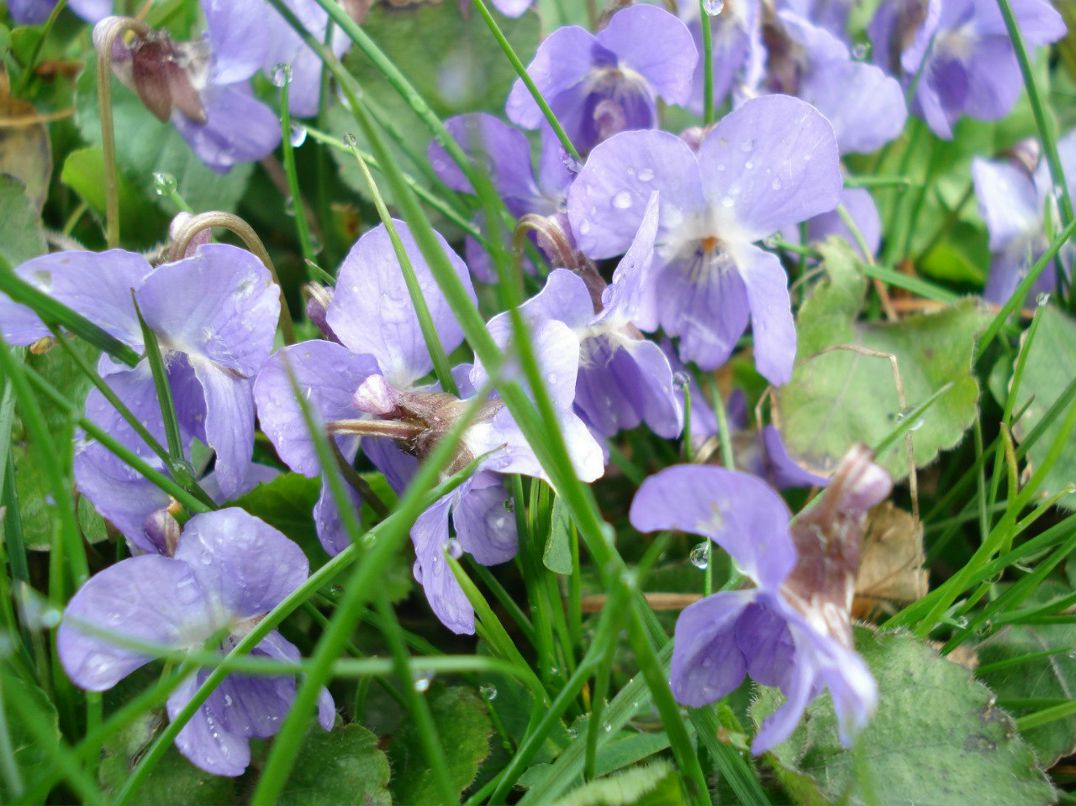 Лилия Фаттахова | Туймазы