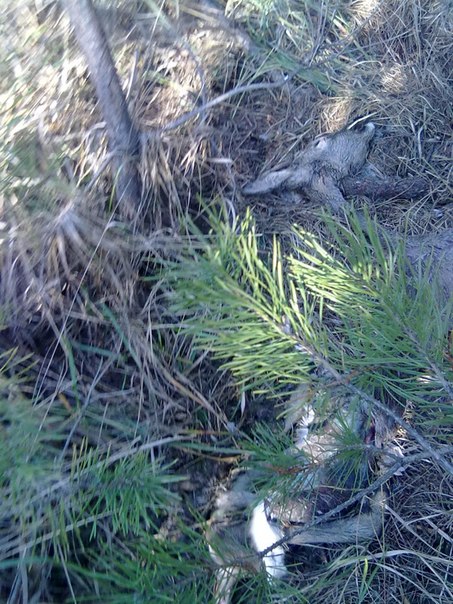 №48, Илья Володиков, 39 лет, Киев №48, Илья Володиков, 39 лет, Киев