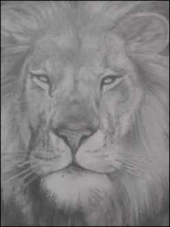 №65, Leo Бодяжин, Самара №65, Leo Бодяжин, Самара