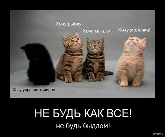 №30, Геннадий Подорожко, 35 лет, Днепр (Днепропетровск) №30, Геннадий Подорожко, 35 лет, Днепр (Днепропетровск)