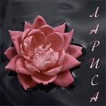 Лариса Дацун | Сегежа