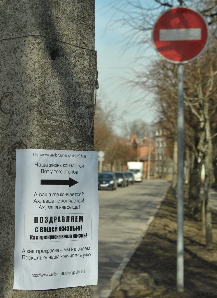 Владимир Беляев | Санкт-Петербург