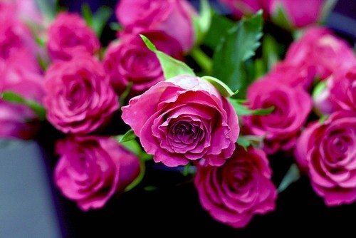 Анна Житлова | 