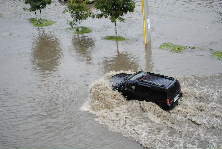 №103, Володимир Маслюк, Луцк №103, Володимир Маслюк, Луцк