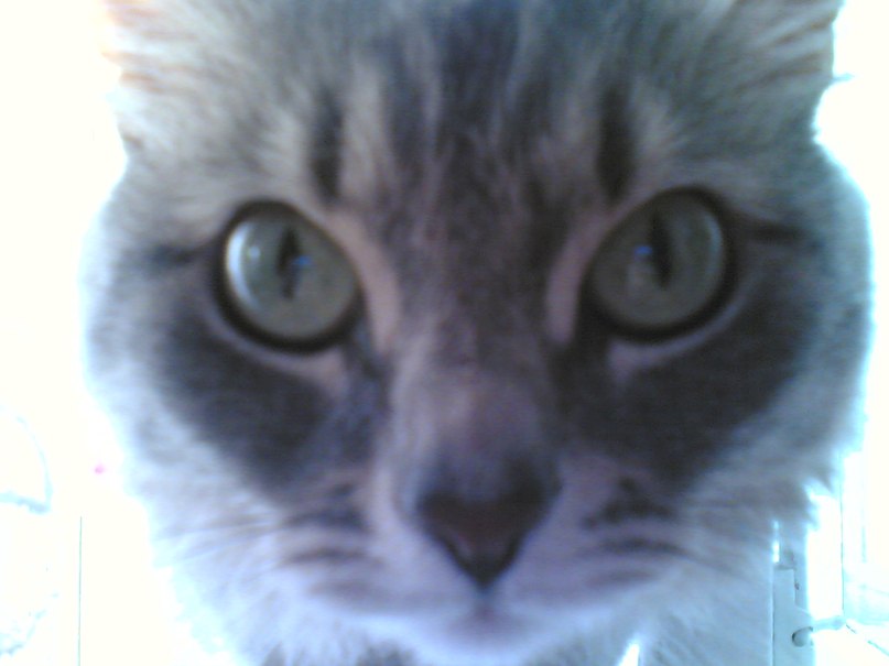 Валентин Зацепин NAPALMbl4 | Электросталь