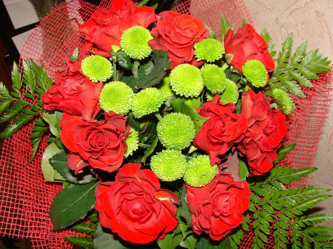 Ольга Перина | Владимир