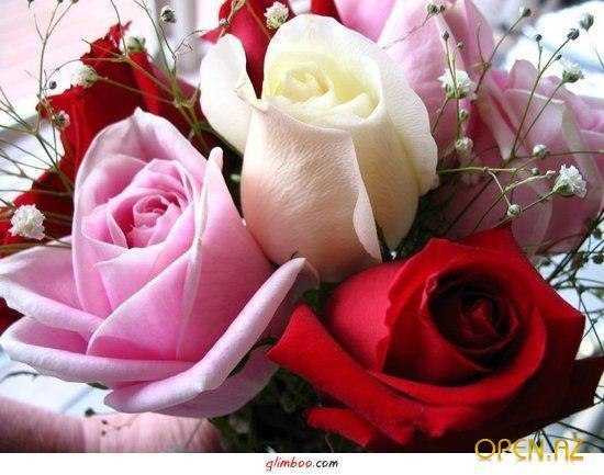 Севиндж Амирова | Москва