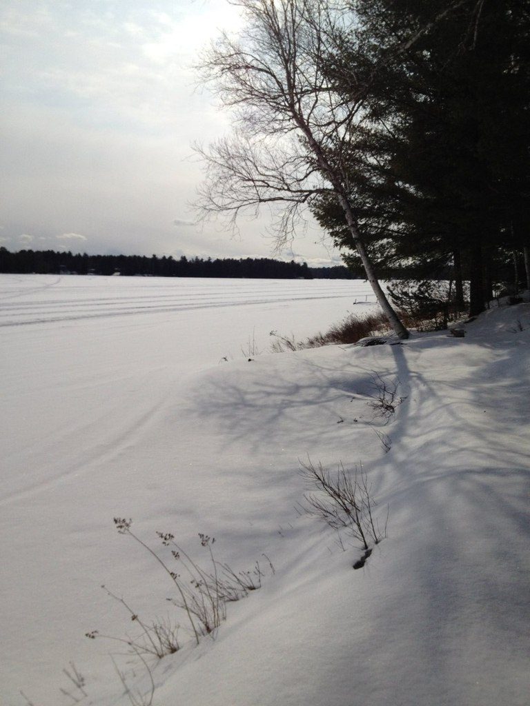 Иришка Малявская | Hamilton