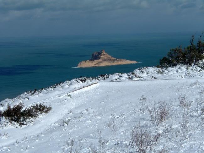 Chemsdean Souissi | 
