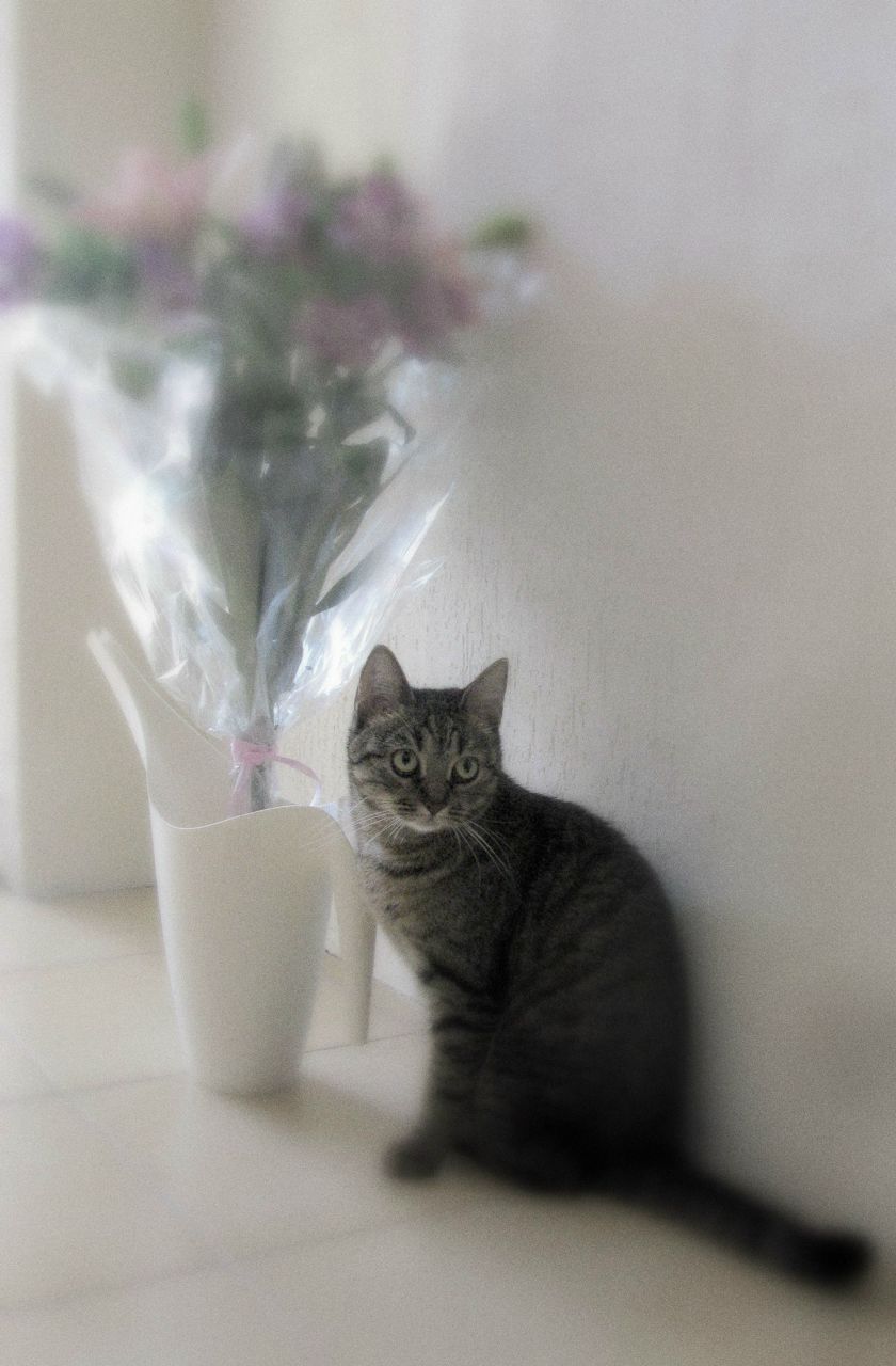 Юлия Прохорова | Санкт-Петербург