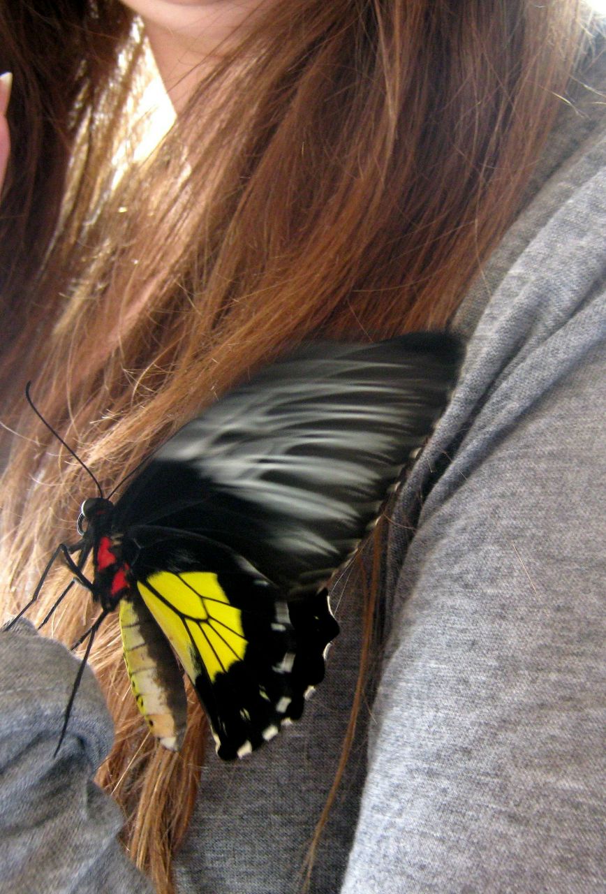 Татьяна Новичихина | Калининград