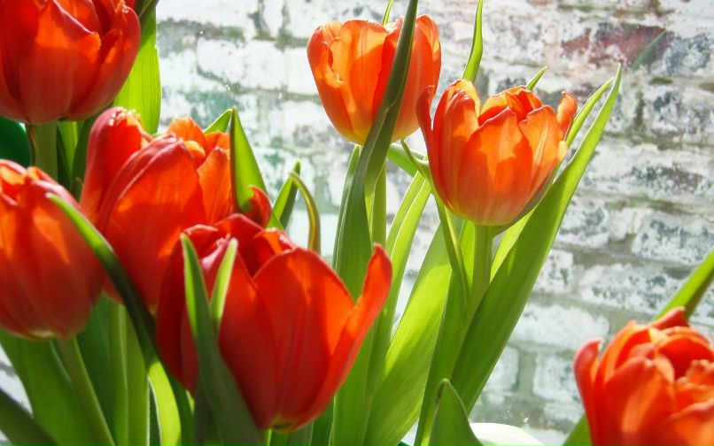 Марина Костина | 