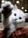 Фотография Валерия Пих