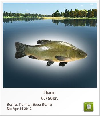 Иван Дунский | Липецк