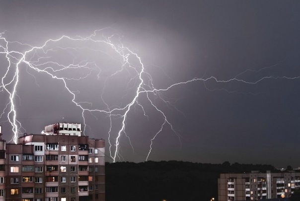 №6, Demonica Maglowski №6, Demonica Maglowski