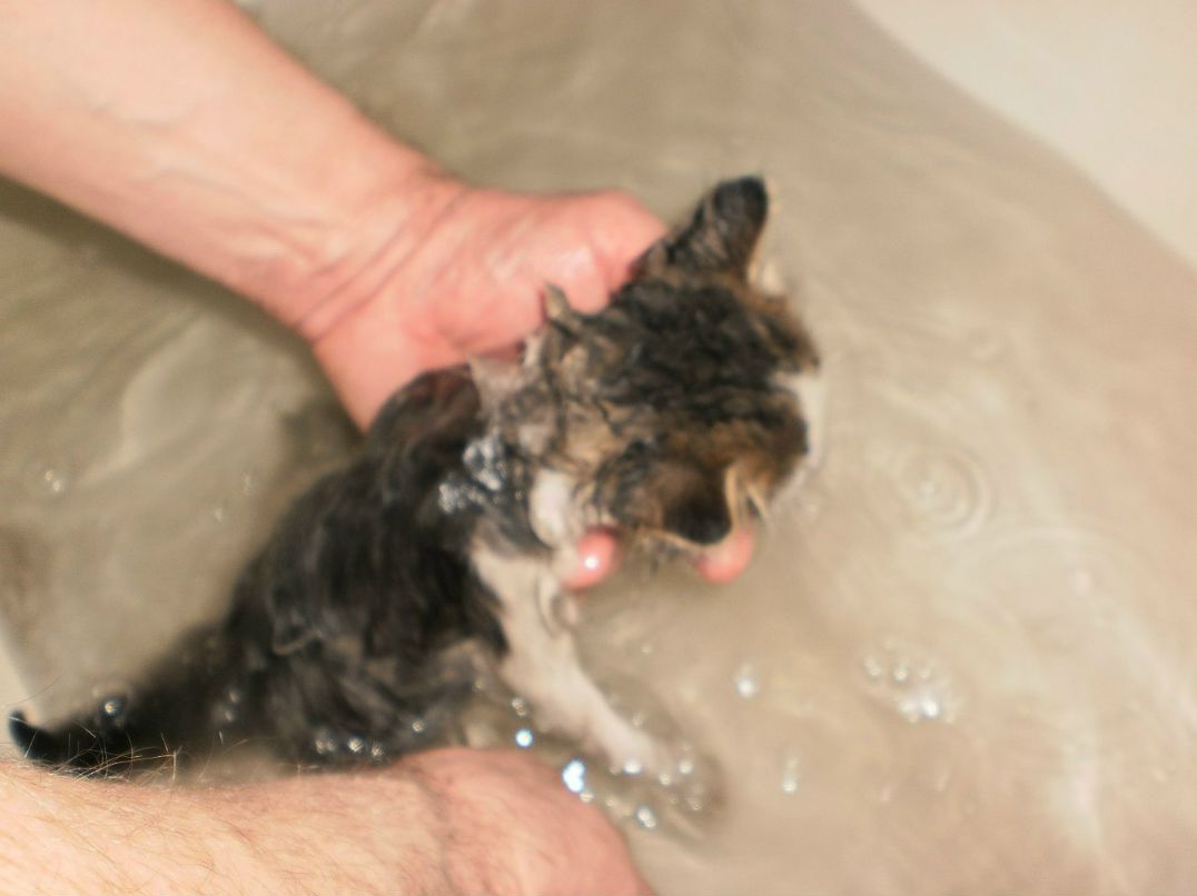 Зинаида Гусева | Макеевка