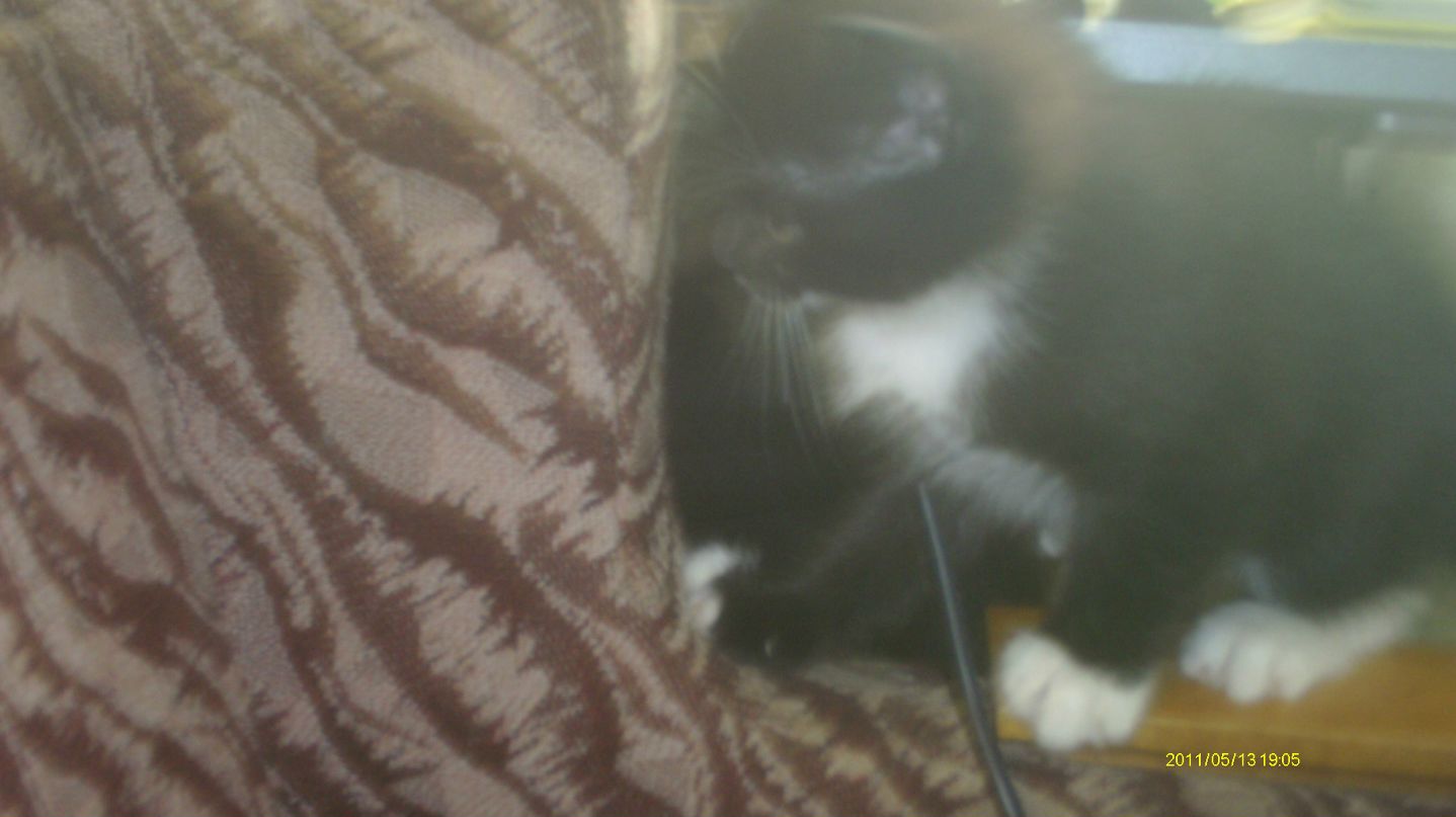 Александра Ланцова | Кондопога