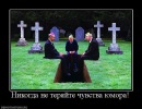 №13 Андрей Крылов