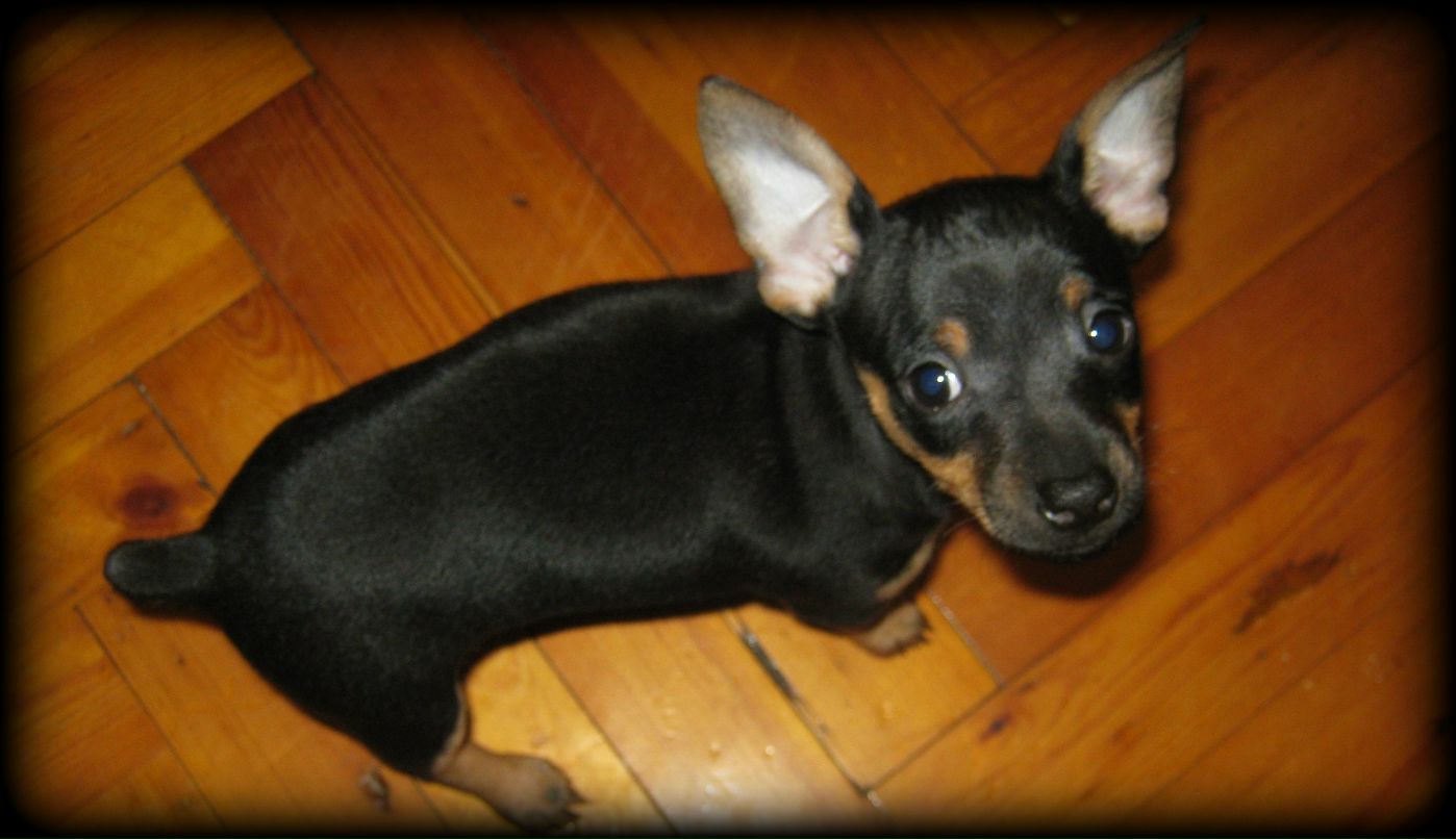 Аня Дроженко [...♥...] | Харьков