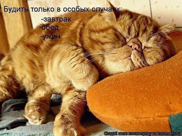 Валерия Лисеенко | Киев