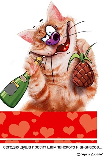 Андрей Черненков | Калининград