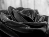 №7 Инна Карташова 09.03.1988: профиль, фото, статус - ВКонтакте №7 Инна Карташова 09.03.1988: профиль, фото, статус - ВКонтакте