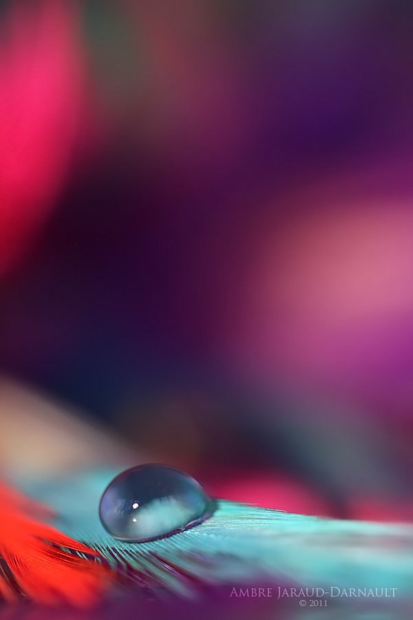 Anna Shipulina | Красноярск