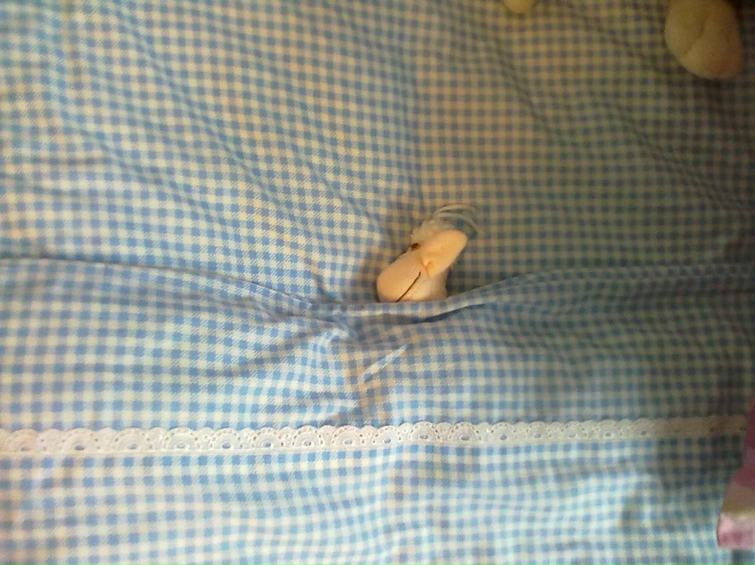 Дмитрий Нестер | Челябинск