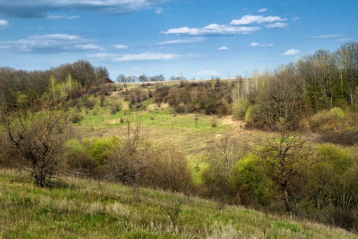 Евгений Боровлев | Курск