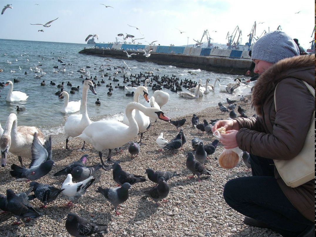 Юлия Нечай | Харьков