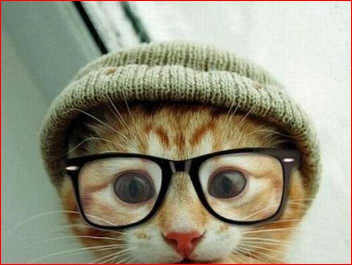 Игорь Бобров | Волхов (поселок)