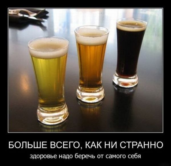 Виталий Корниенко Party_Zan | Киев