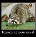 Анатолий Анатолий, Санкт-Петербург, Россия, 