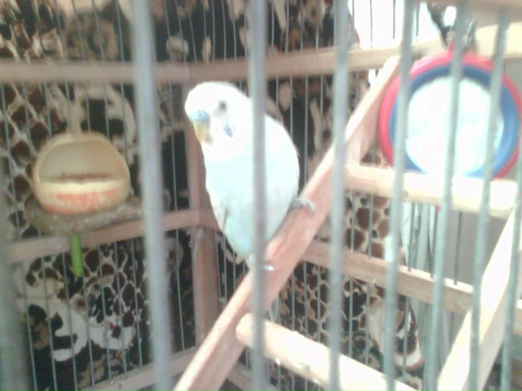 Виктория Савельева | 