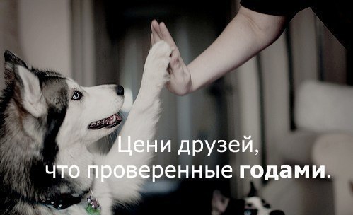 Александра Конищева | Москва