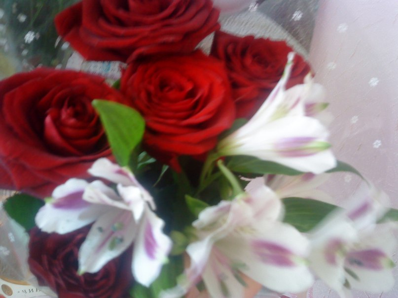 Олеся Григорьева | Ижевск