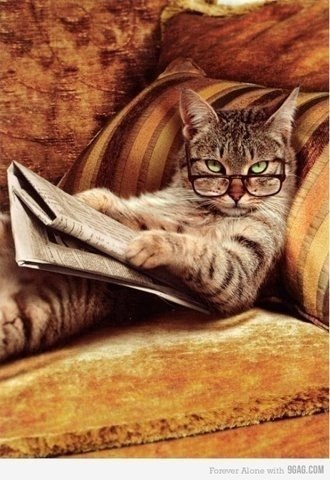 Вадим Маліцький KOT | Винница