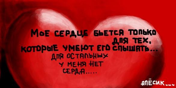 №114, Olivia Крэвэдко, Николаев №114, Olivia Крэвэдко, Николаев