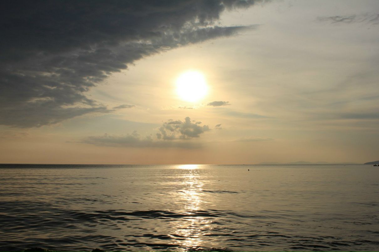 Олег Осим | Краснодар