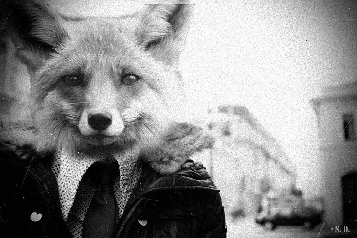 Александр Александров | Москва