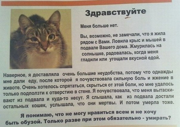 №99, Дмитрий Хлебников, Новокузнецк №99, Дмитрий Хлебников, Новокузнецк
