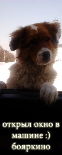 Алексей Марулин | 