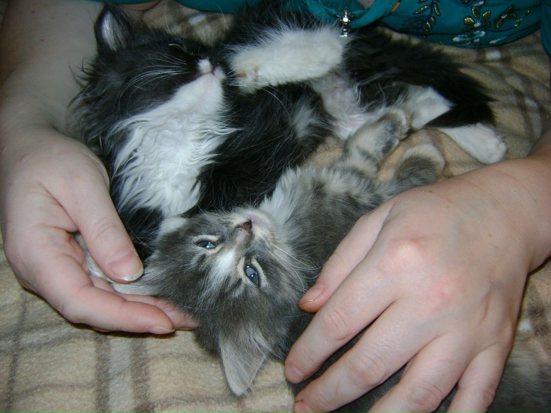 Светлана Василькова | Санкт-Петербург